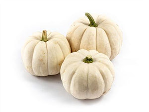 Ornamental Casperita Cucumbers – Decorative Fruit