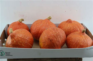 Decorative Hokkaido Pumpkins – Mixed Selection