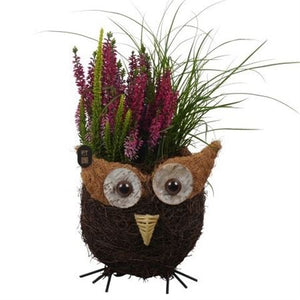 Autumn Outdoor Owl Arrangement – 17cm Wicker Pot