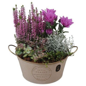 Autumn Outdoor Arrangement in Ornamental Zinc Pot – 20cm