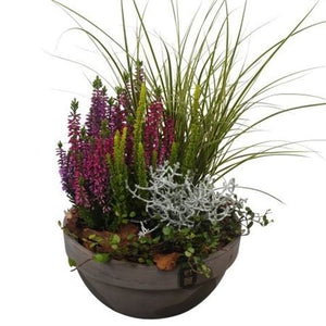 Autumn Outdoor Plant Arrangement – 19cm Terracotta Dish