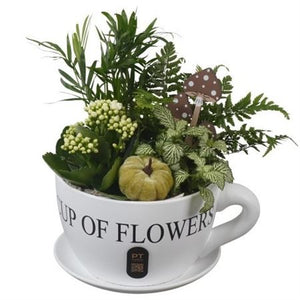 Autumn Plant Arrangement in Ceramic Cup and Saucer – 24cm