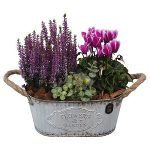 Autumn Outdoor Plant Arrangement – 24cm Oval Zinc Pot