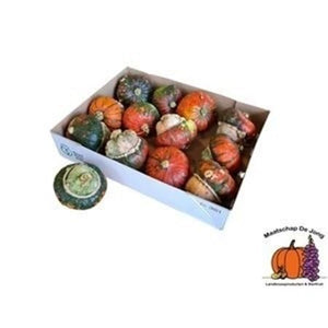 Ornamental Turkish Turban Gourds – Mixed Selection