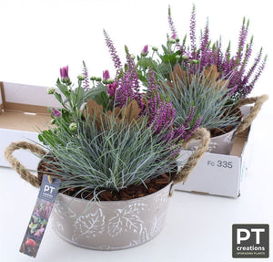 Zinc Plant Arrangement – 21cm Pot