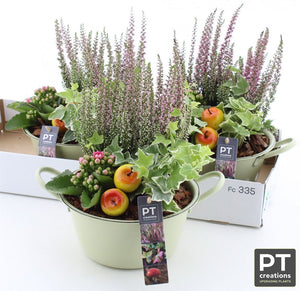 Zinc Plant Arrangement – 25cm Pot