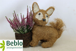 Decorative Indoor Plant Arrangement – 9.5cm Pot