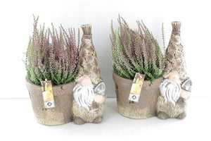 Outdoor Arrangement in Brown Planter – 27cm Pot