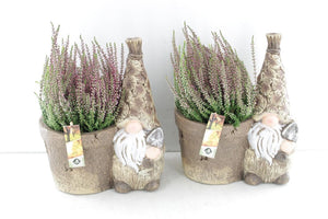 Outdoor Arrangement in Brown Planter – 27cm Pot