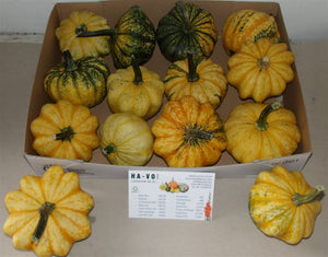 Decorative Ornamental Fruit Mix – Approx. 10cm+