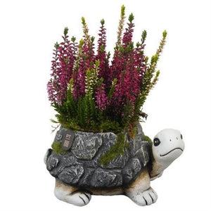 Autumn Outdoor Plant Arrangement – 21cm Ornamental Pot
