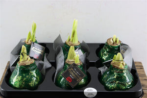 Dark Green Wax Hipp Galaxy Christmas Decoration