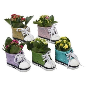 Indoor Flower Arrangement in Ceramic Pot – 13cm