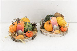 Decorative Birch Slice Arrangement – 18cm