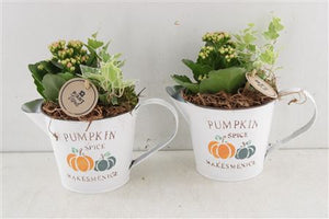 Pumpkin Spice Autumn Arrangement – 20cm Zinc Pot