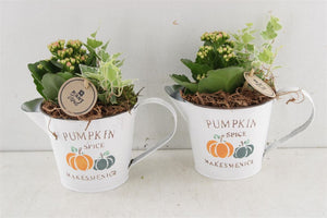Pumpkin Spice Autumn Arrangement – 20cm Zinc Pot