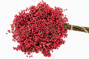 Pink Schinus Bunch – 10 Stems