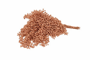 Copper Schinus Decorative Dried Bunch