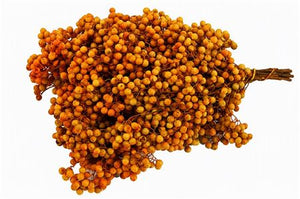 Yellow Schinus Mustard Bunch – Dried Decorative Stems