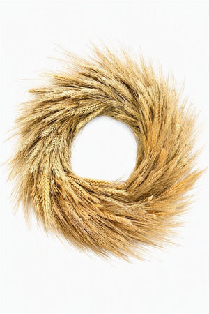 Dried Triticum Wheat Wreath – 40cm