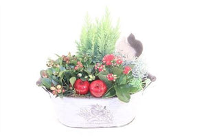 Oval Garden Plant Arrangement – 28cm Zinc Pot