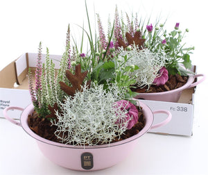 Garden Plant Arrangement in Zinc Pot – 36cm
