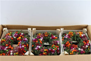 Mixed-Colour Dried Fruit Wreath – 30cm