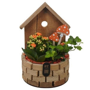 Autumn Wooden Birdhouse Plant Arrangement – 17cm Pot