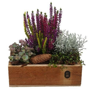 Autumn Plant Arrangement in Rectangular Wooden Pot – 25cm