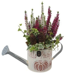 Autumn Plant Arrangement in Zinc Watering Can – 12cm