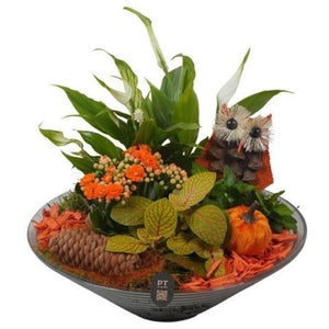 Autumn Glass Bowl Plant Arrangement – 26cm