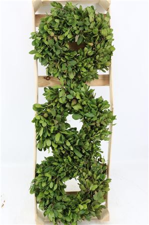 Green Steeneik Wreath – 30cm
