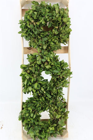 Green Steeneik Wreath – 30cm