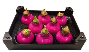 Waxed Fuchsia Pink Decorative Stem