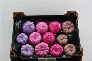 Pink Wax Fruit Decorative Stem