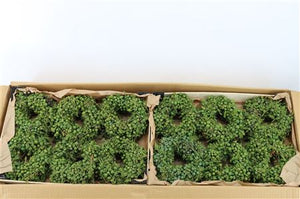 Mixed-Colour Juniperus Wreath – 12cm