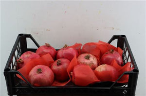 Red Ornamental Pomegranate Fruit