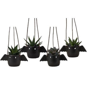 Red Mixed Succulent in Bat Pot – 11cm