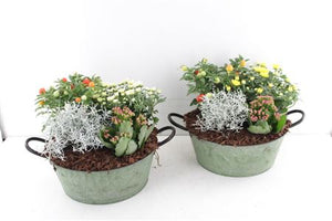 Outdoor Arrangement in Round Zinc Pot – 25cm