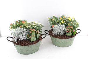 Outdoor Arrangement in Round Zinc Pot – 25cm