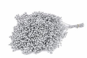 Silver Schinus Bunch – Decorative Dried Foliage