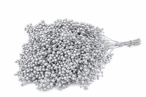 Silver Schinus Bunch – Decorative Dried Foliage