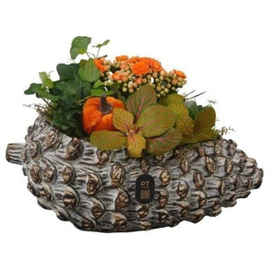 Autumn Indoor Plant Arrangement – 28cm Concrete Pot