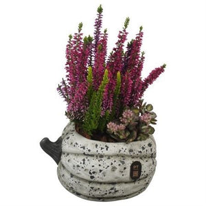Autumn Outdoor Plant Arrangement – 17cm Concrete Pot