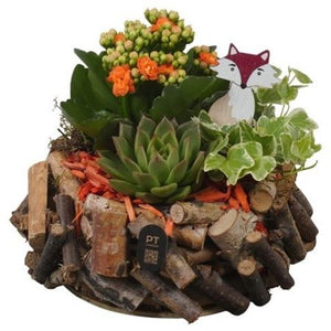 Autumn Indoor Plant Arrangement – 20cm Wooden Pot