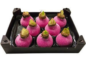 Fuchsia Pink Wax Hyacinth Christmas Decoration