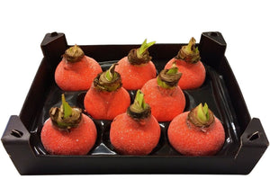 Orange Waxflower Christmas Decoration
