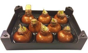 Copper Waxed Christmas Decoration – 20cm