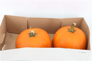 Large Orange Decorative Pumpkin – Approx. 4kg