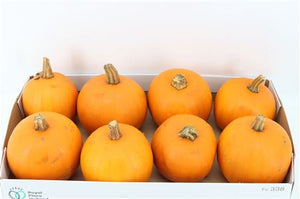 Halloween Decorative Pumpkin – Orange